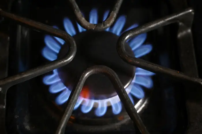 Blue flames from a gas stove.